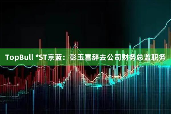 TopBull *ST京蓝：彭玉喜辞去公司财务总监职务