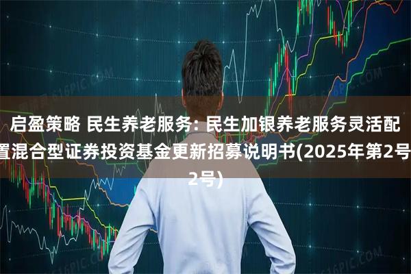 启盈策略 民生养老服务: 民生加银养老服务灵活配置混合型证券投资基金更新招募说明书(2025年第2号)