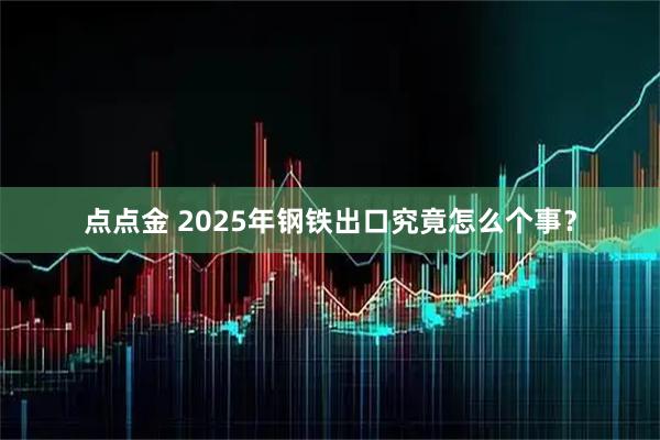 点点金 2025年钢铁出口究竟怎么个事？